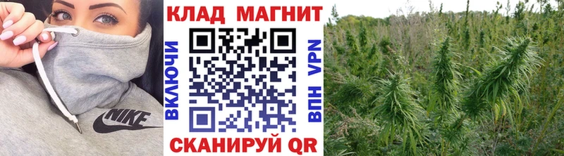 Что такое Михайлов Каннабис  МЕФ  ГАШИШ 